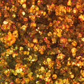 Glorious Lights Glitter Palette - NABLA Cosmetics

