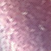 Colore